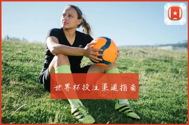 世界杯投注渠道指南