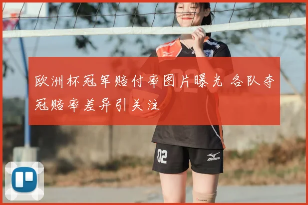 欧洲杯冠军赔付率图片曝光 各队夺冠赔率差异引关注