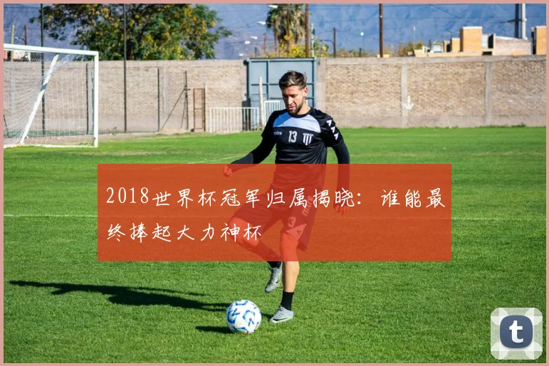2018世界杯冠军归属揭晓：谁能最终捧起大力神杯