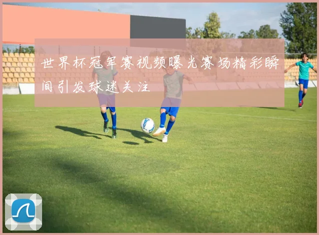 世界杯冠军赛视频曝光赛场精彩瞬间引发球迷关注
