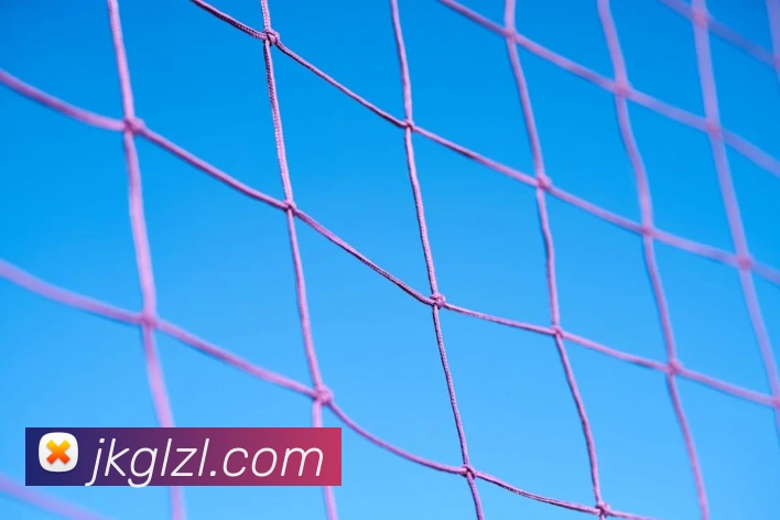 买球官方平台生态图