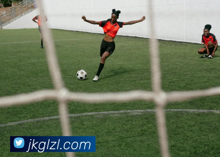 买球官方APP 封面图